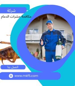 شركة مكافحة حشرات بالدمام